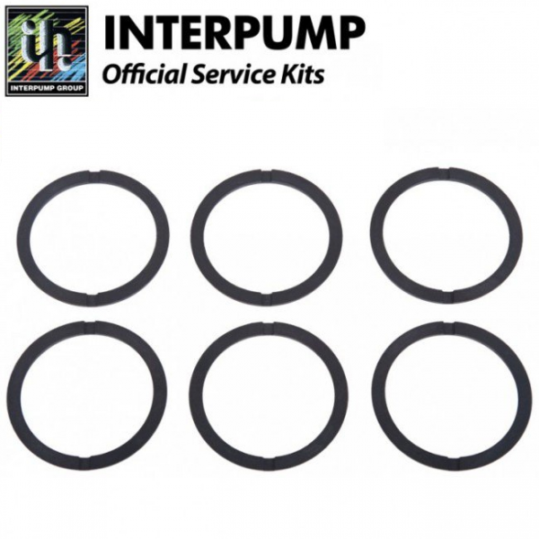 Ремкомплект Interpump Kit 48