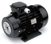 Электродвигатель Nicolini 18,0 кВт 3 фазы (DF PXI) T416018/NRLG5MG