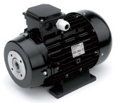Электродвигатель Nicolini 22,0 кВт, 3 фазы (с муфтой) T416122/NRLG5MG