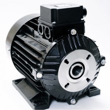 Электродвигатель Nicolini 4,0 кВт, 3 фазы (полый вал) FO-NMT-RG