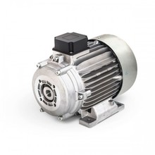 Электродвигатель Mazzoni 4,0 кВт, 3 фазы (с муфтой) + Termic (45 мм) 2.081.12.019