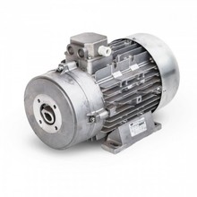 Электродвигатель Mazzoni 15,0 кВт, 3 фазы (с муфтой) + Termic 2.081.12.030